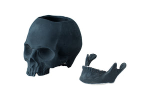HUMAN SKELETON FLOWERPOT